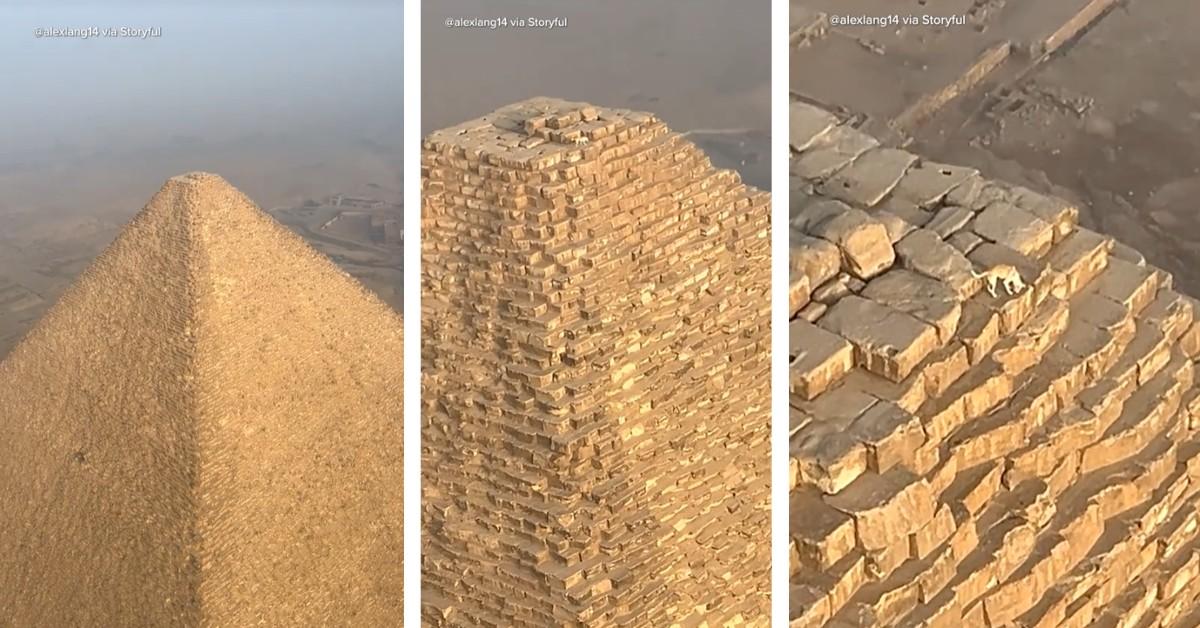 Canine on Pyramid in Egypt in Viral Video Leaves Web Confused