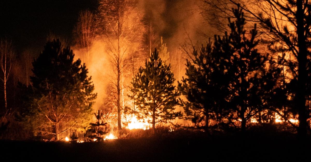 Are the Canadian Fires Beneath Administration? Proper right here is What to Know