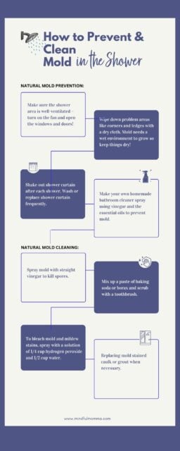 How to clean mold in the shower - infographic