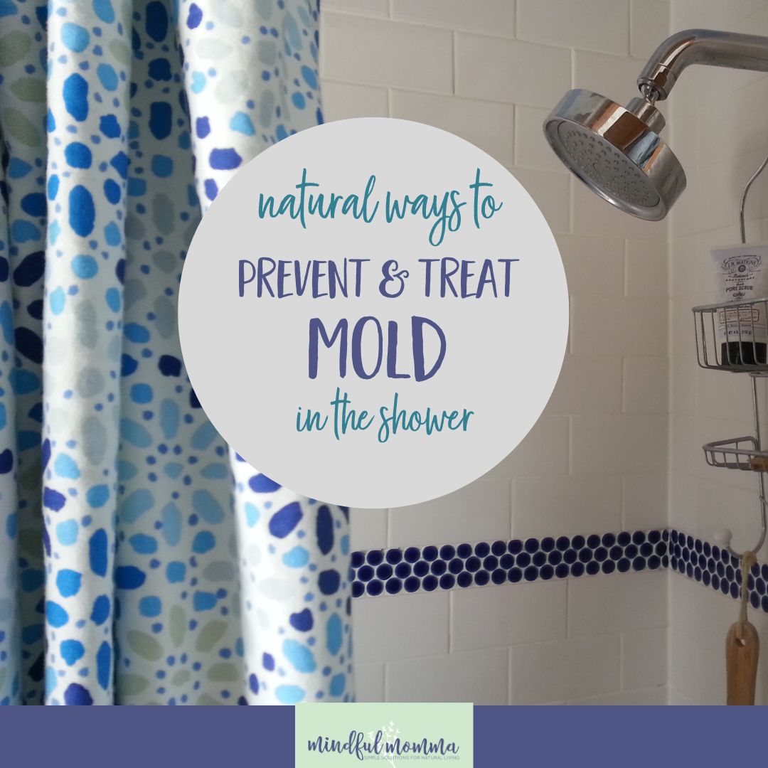 Selfmade Mildew Prevention Spray & Tips to Clear Mildew in Bathe